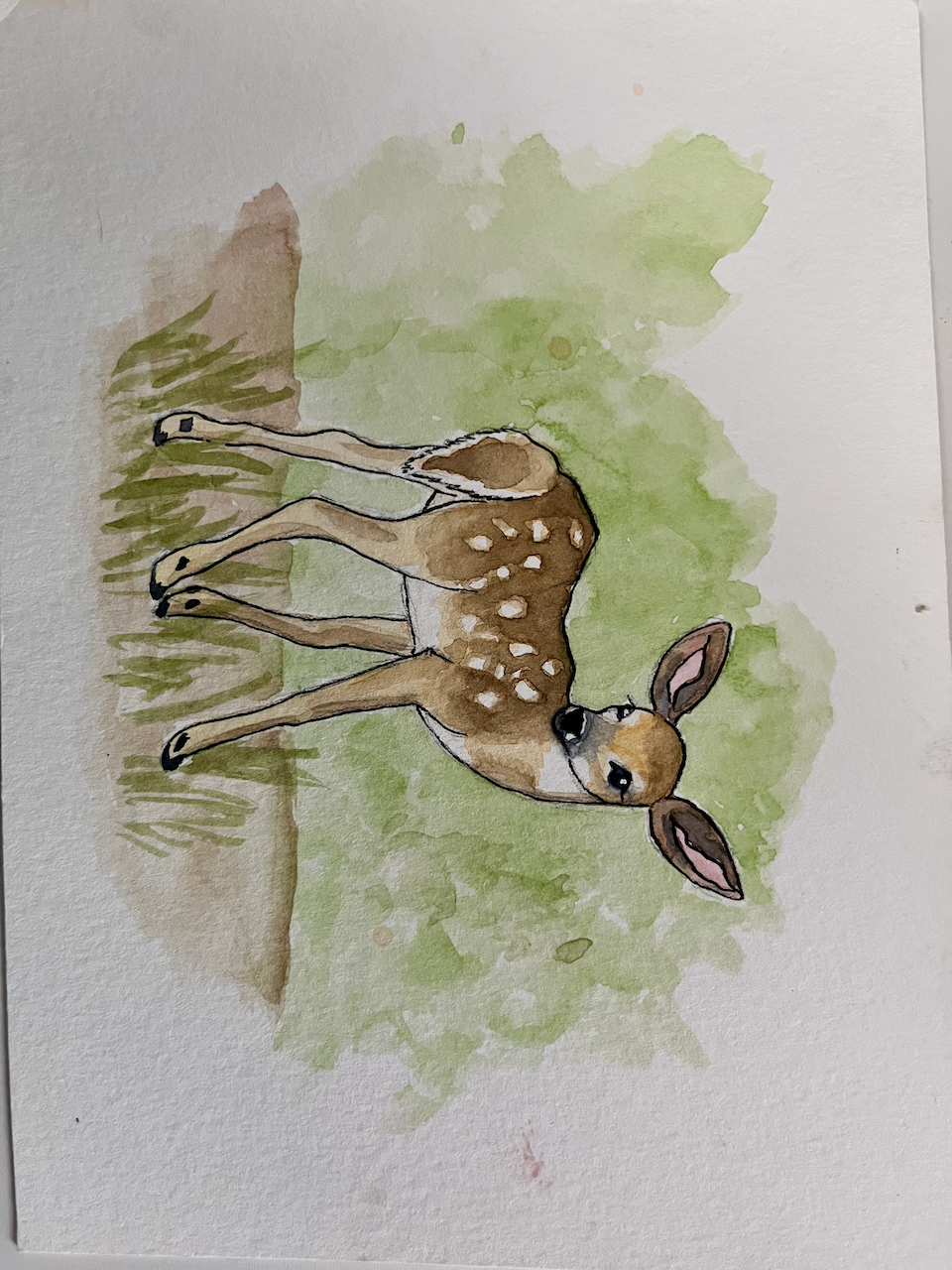 deerwc