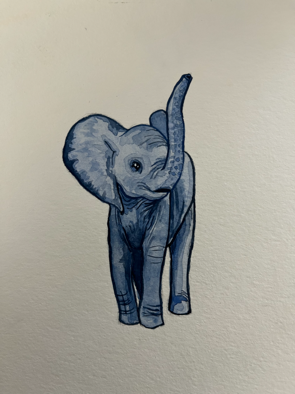 elephantwc